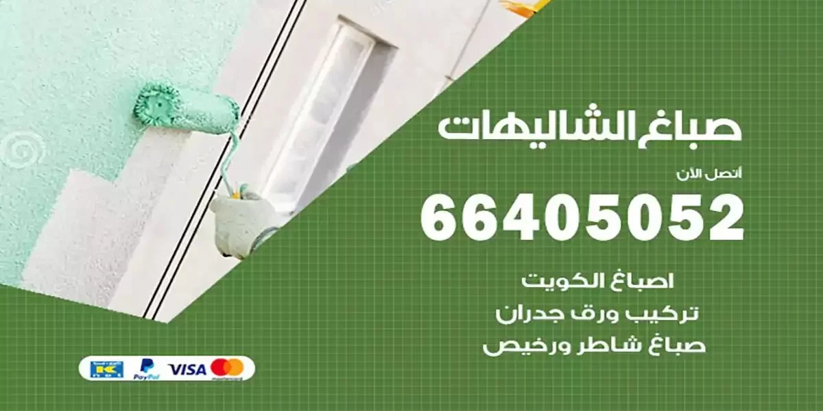 فني صباغ بيوت الشاليهات