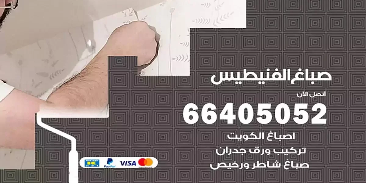 فني صباغ بيوت الفنيطيس